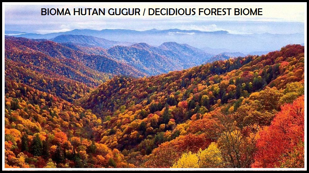 Detail Hutan Gugur Temperata Nomer 34