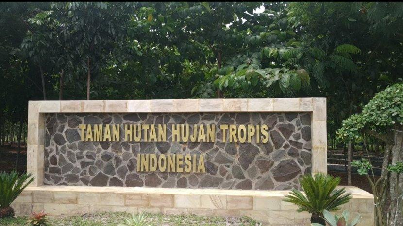 Detail Hutan Hujan Tropis Di Indonesia Nomer 31