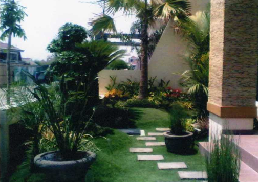 Detail Hutan Mini Di Rumah Nomer 38