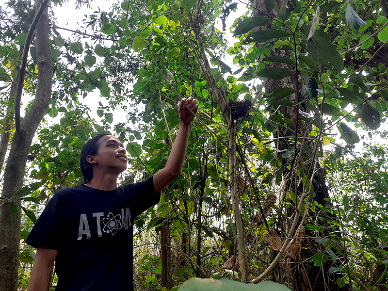 Detail Hutan Mini Di Rumah Nomer 49