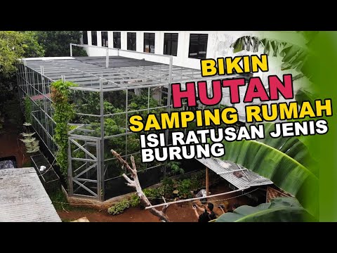 Detail Hutan Mini Di Rumah Nomer 6