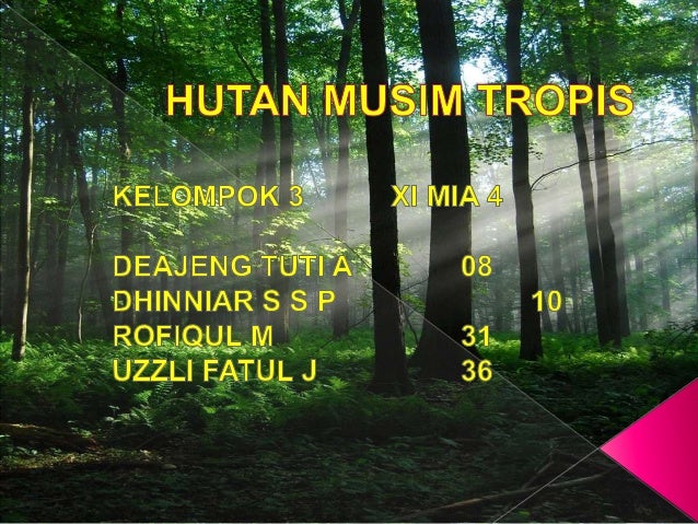 Detail Hutan Musim Di Indonesia Nomer 10