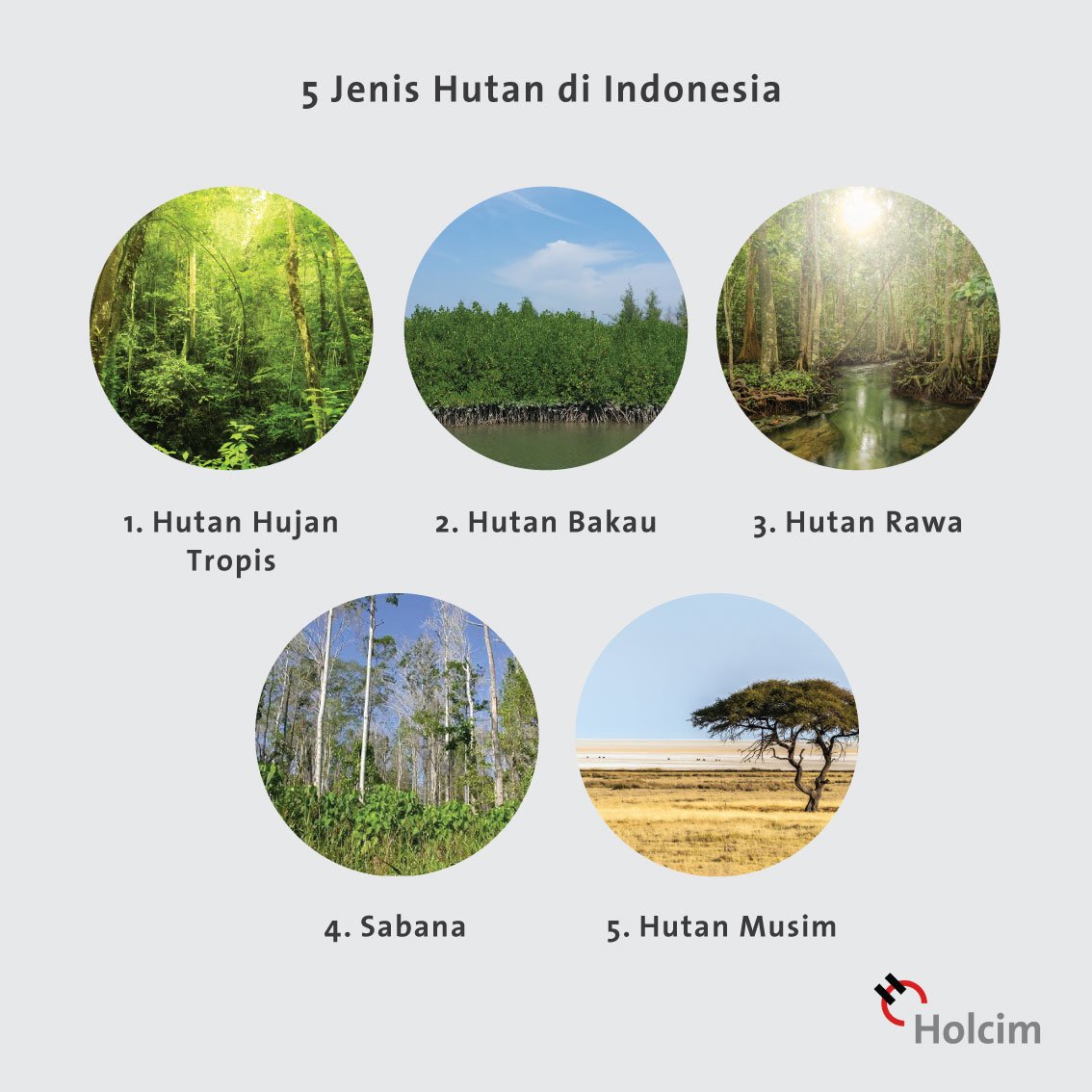 Detail Hutan Musim Di Indonesia Nomer 22