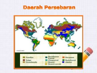 Detail Hutan Musim Di Indonesia Nomer 26