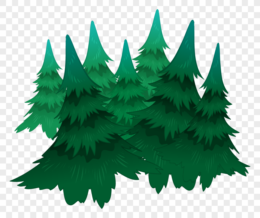 Detail Hutan Pinus Png Nomer 15