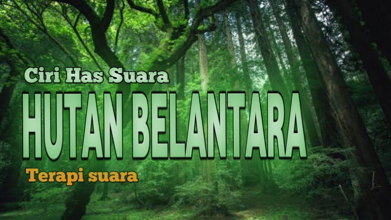 Detail Hutan Rimba Belantara Nomer 30