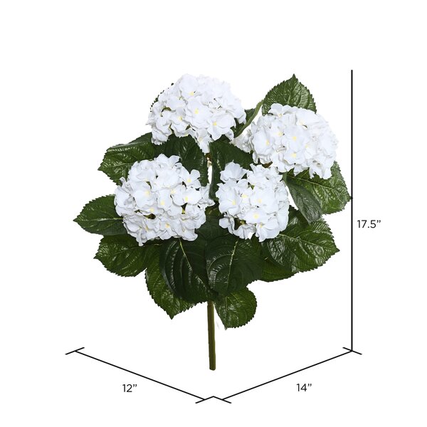 Detail Hydrangea Bush Png Nomer 38