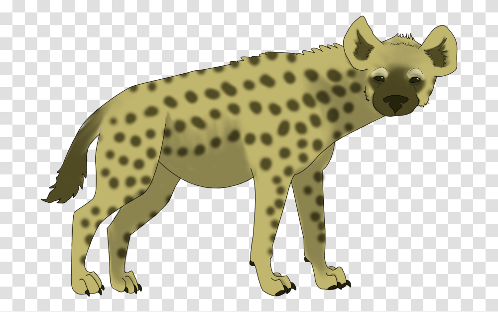 Detail Hyena Clipart Nomer 12
