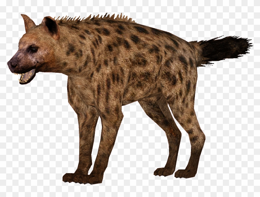 Detail Hyena Clipart Nomer 33