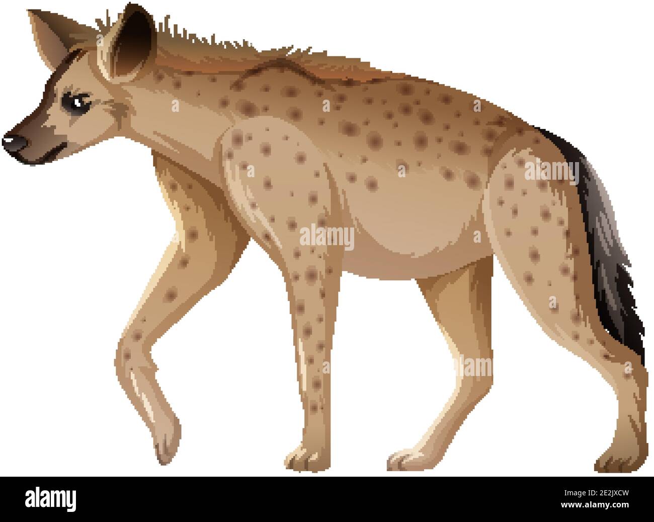 Detail Hyena Clipart Nomer 40