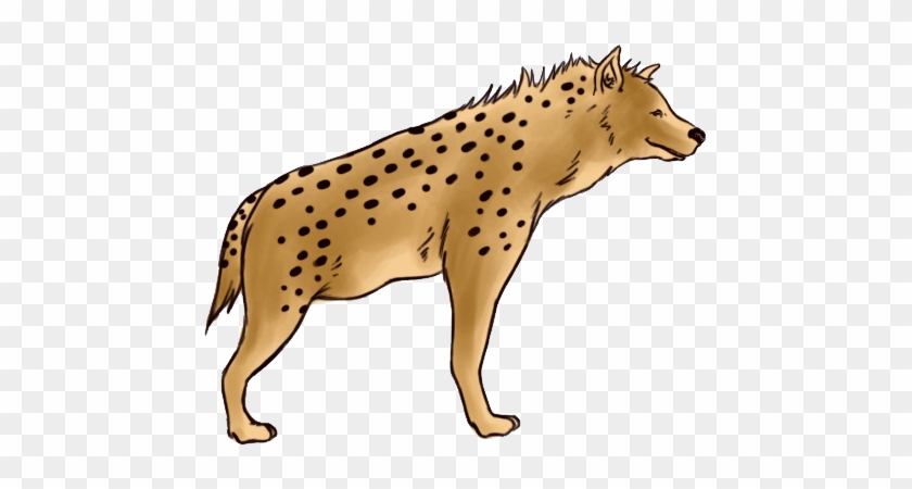 Detail Hyena Clipart Nomer 44