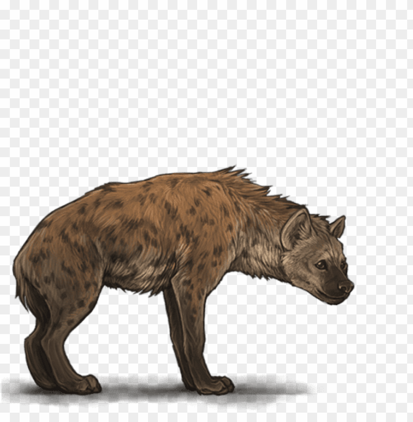 Detail Hyena Download Nomer 15