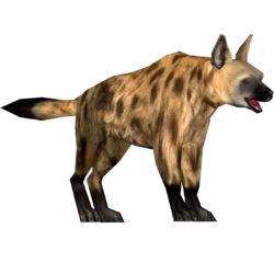 Detail Hyena Download Nomer 31