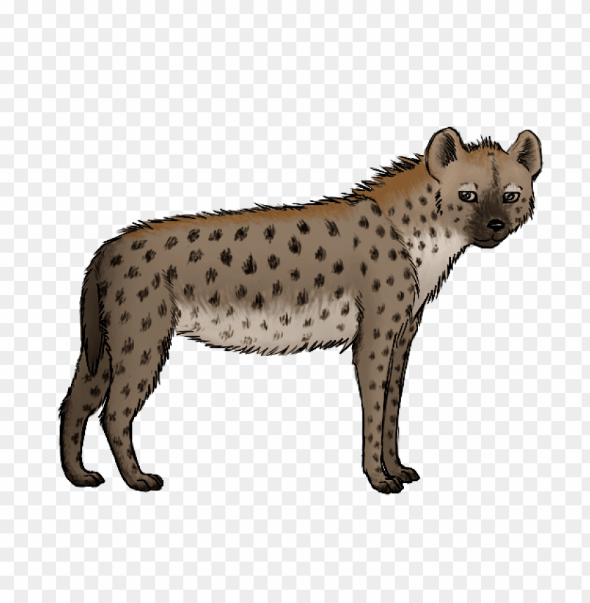 Detail Hyena Download Nomer 32