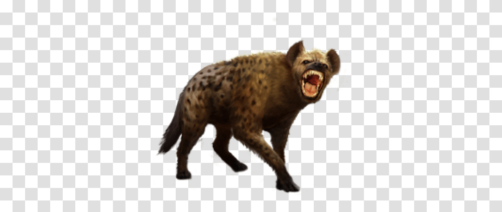 Detail Hyena Download Nomer 48