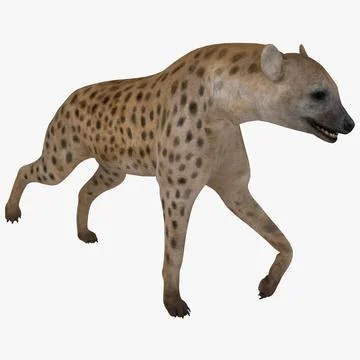 Detail Hyena Download Nomer 51