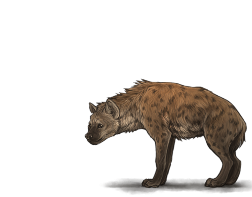 Detail Hyena Download Nomer 53