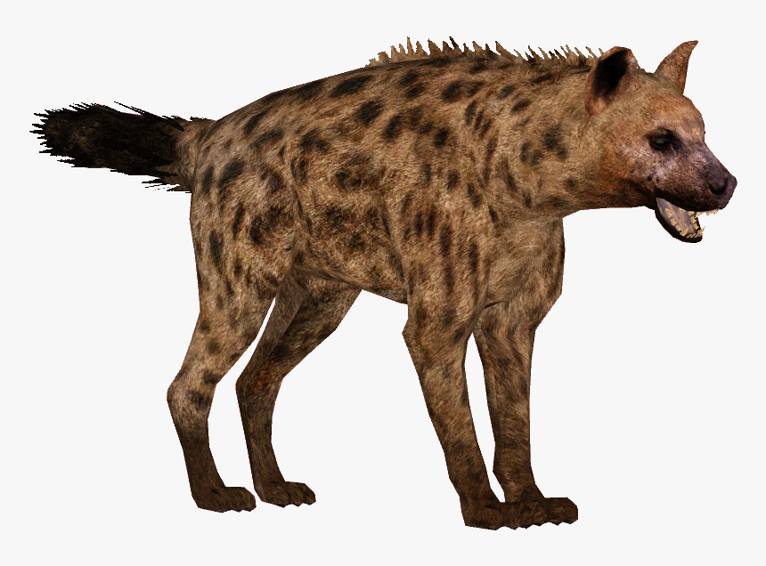 Detail Hyena Download Nomer 7