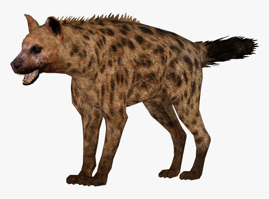 Detail Hyena Download Nomer 8