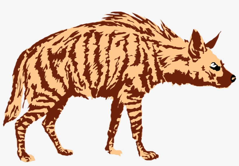 Detail Hyena Transparent Nomer 23
