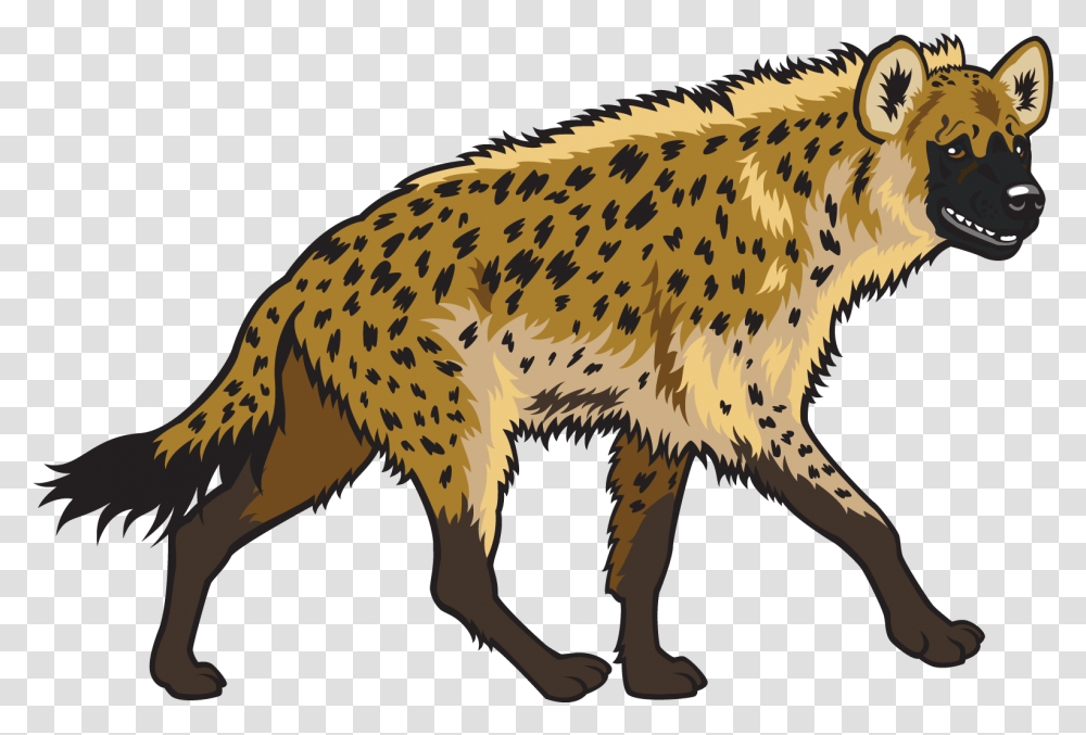 Detail Hyena Transparent Nomer 39
