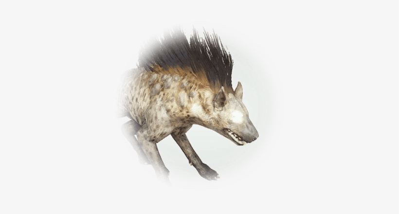 Detail Hyena Transparent Nomer 53