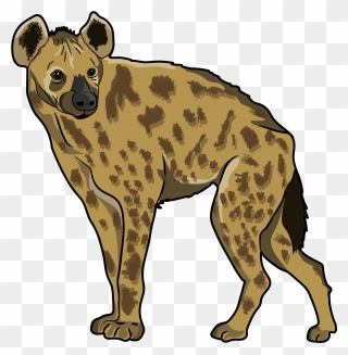 Detail Hyenas Clipart Nomer 48