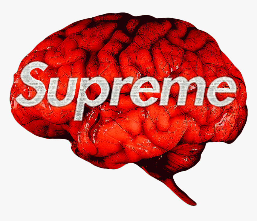 Detail Hypebeast Logo Png Nomer 14