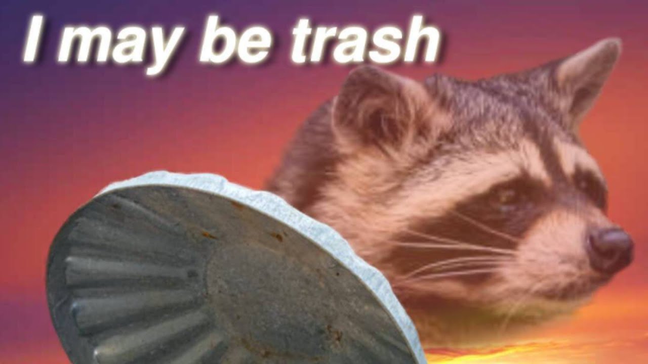 Detail I Am Trash Meme Nomer 18