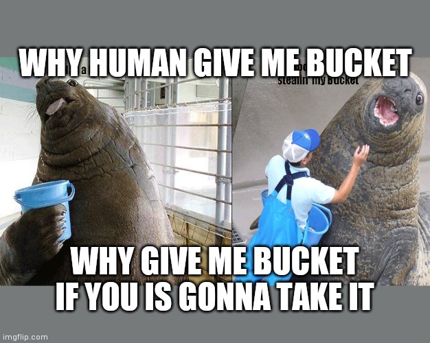 Detail I Have A Bucket Walrus Nomer 12