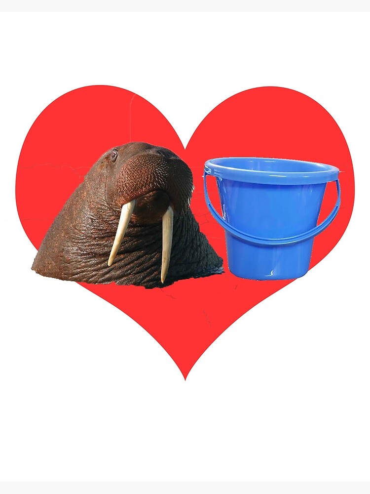 Detail I Have A Bucket Walrus Nomer 13