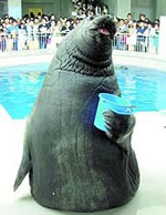 Detail I Have A Bucket Walrus Nomer 15