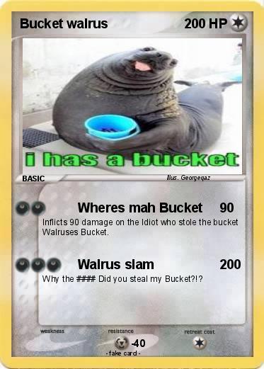 Detail I Have A Bucket Walrus Nomer 16