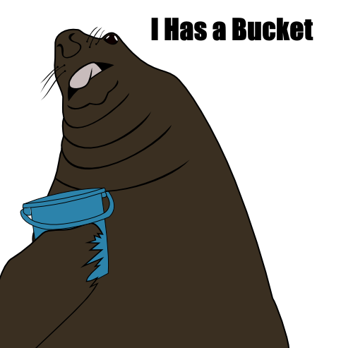 Detail I Have A Bucket Walrus Nomer 21
