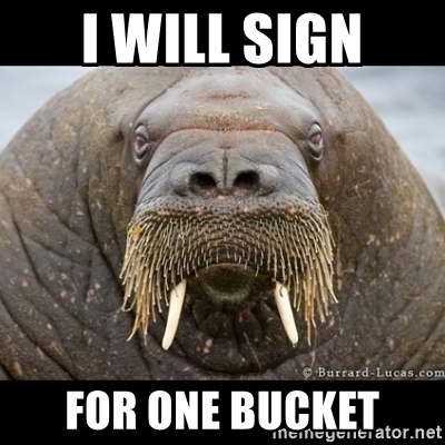 Detail I Have A Bucket Walrus Nomer 22