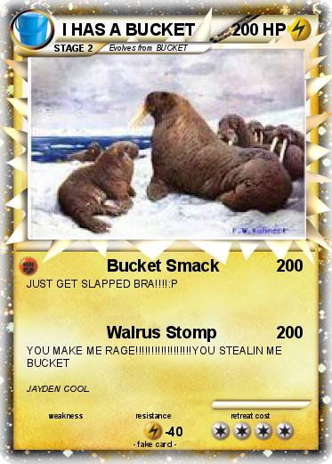 Detail I Have A Bucket Walrus Nomer 23