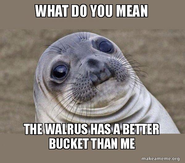 Detail I Have A Bucket Walrus Nomer 30