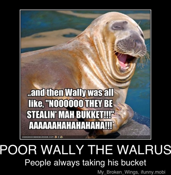 Detail I Have A Bucket Walrus Nomer 34
