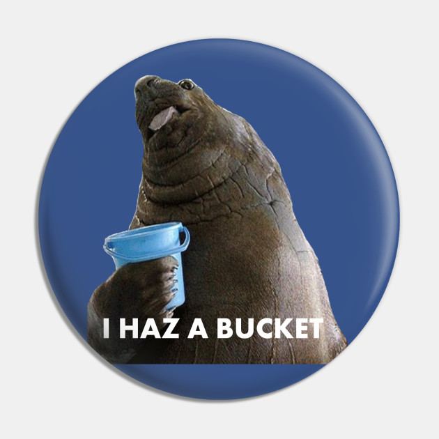 Detail I Have A Bucket Walrus Nomer 37