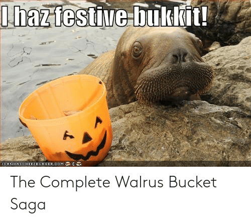Detail I Have A Bucket Walrus Nomer 40