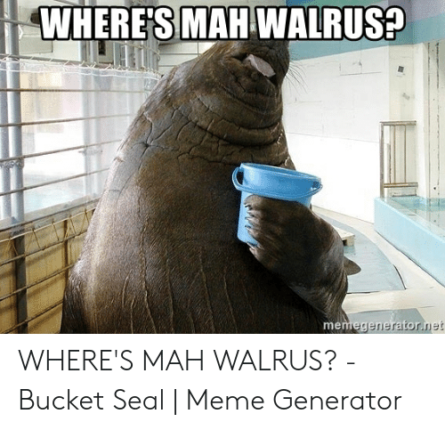 Detail I Have A Bucket Walrus Nomer 42