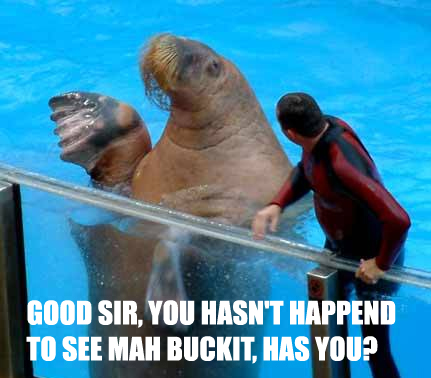 Detail I Have A Bucket Walrus Nomer 9