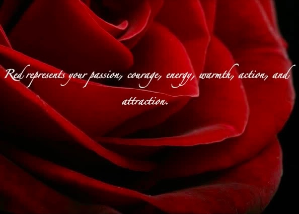 Detail I Love Red Roses Quotes Nomer 30