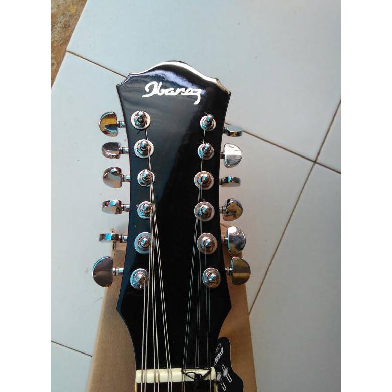 Detail Ibanez Akustik Elektrik Nomer 49