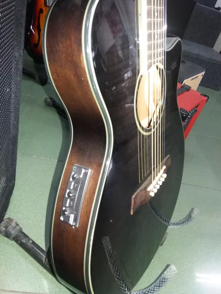 Detail Ibanez Akustik Elektrik Nomer 52