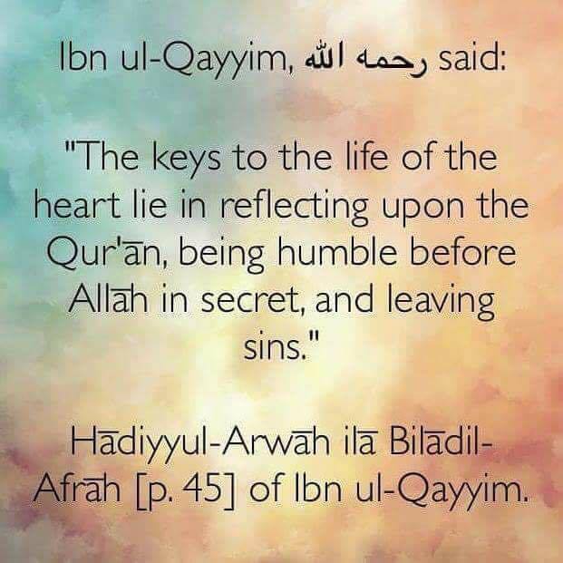 Detail Ibnu Qayyim Quotes Nomer 35