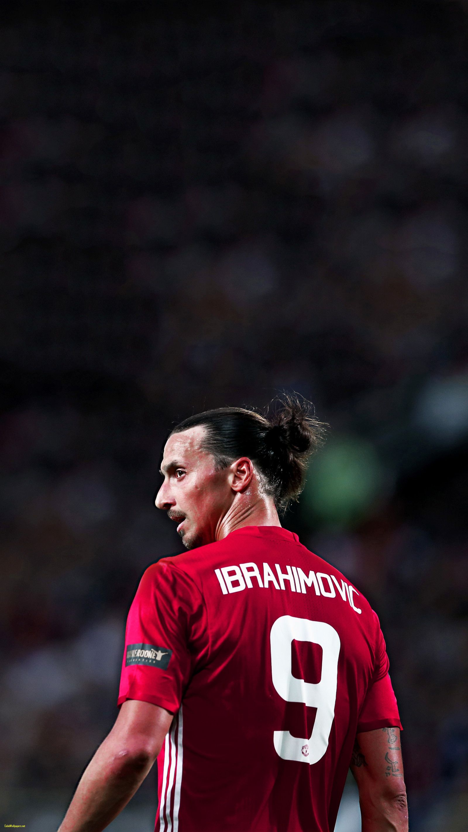 Detail Ibrahimovic Mu Wallpaper Nomer 13