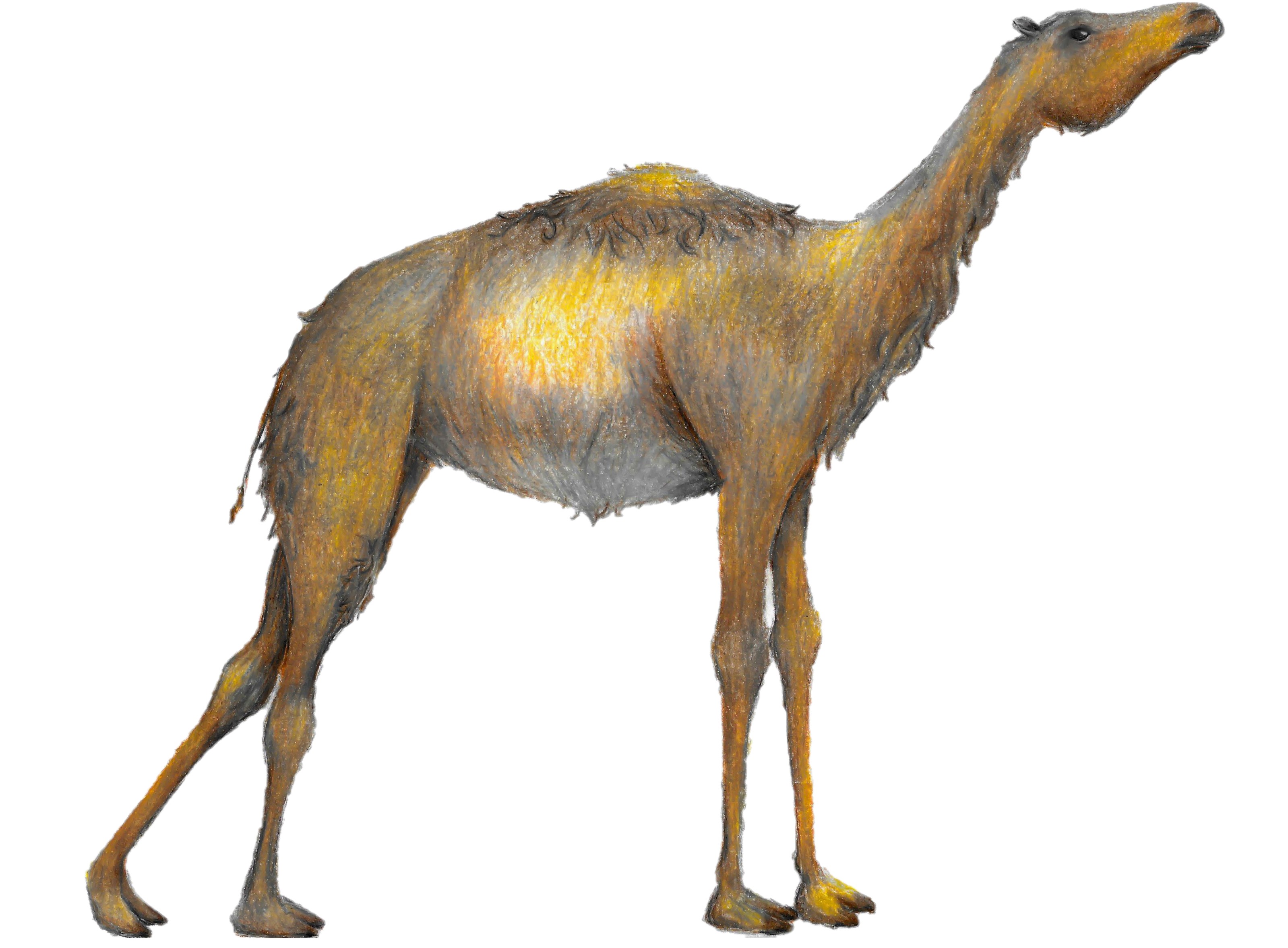 Detail Ice Age Image Nomer 30