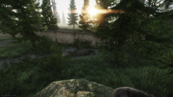 Detail Ice Cream Cones Escape From Tarkov Nomer 11