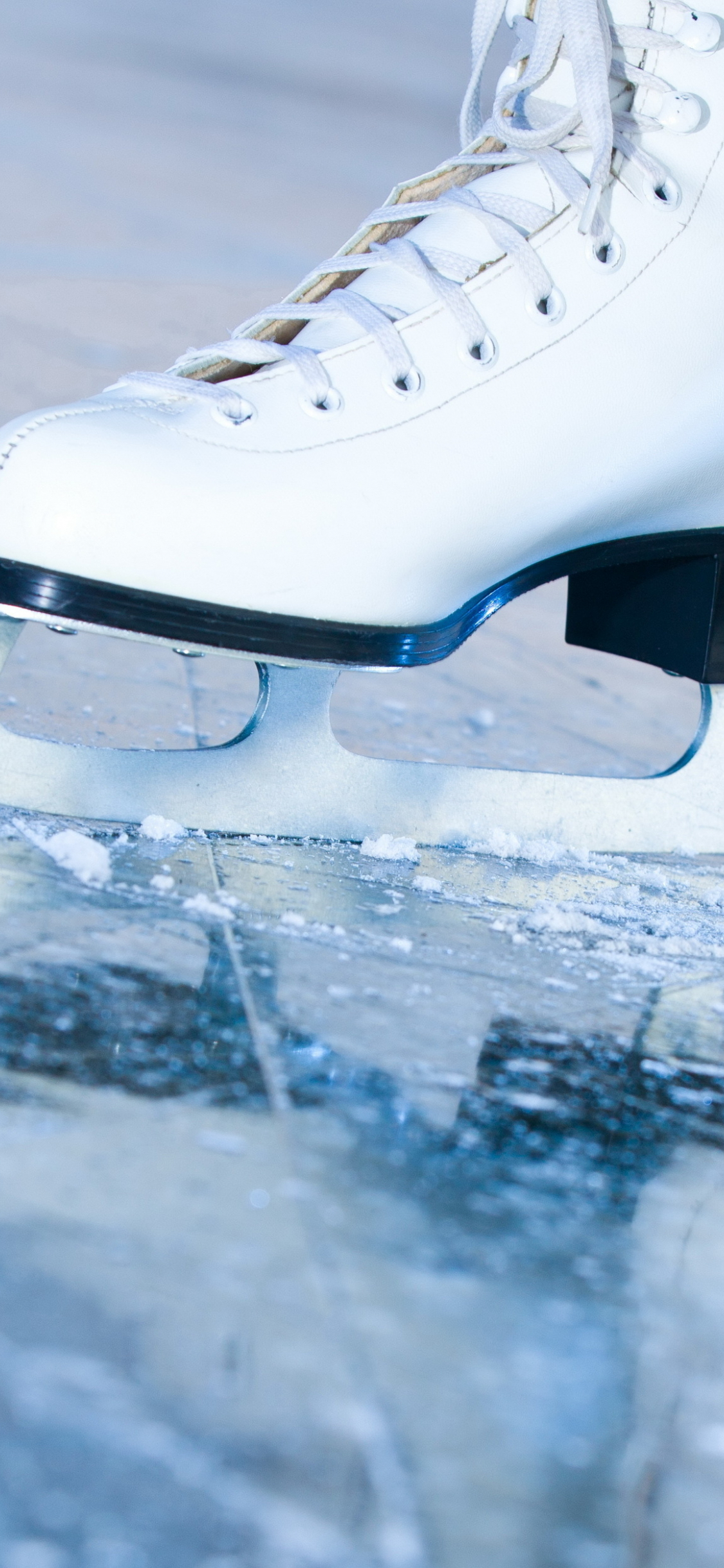 Detail Ice Skates Wallpaper Nomer 13